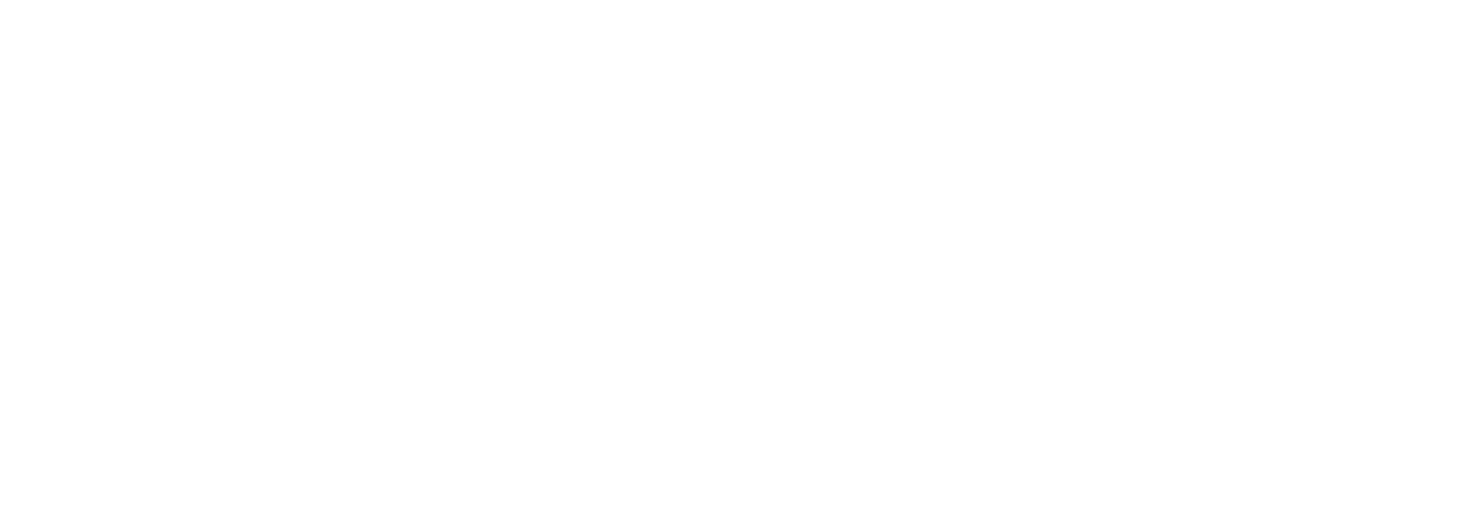 Partner: Nike