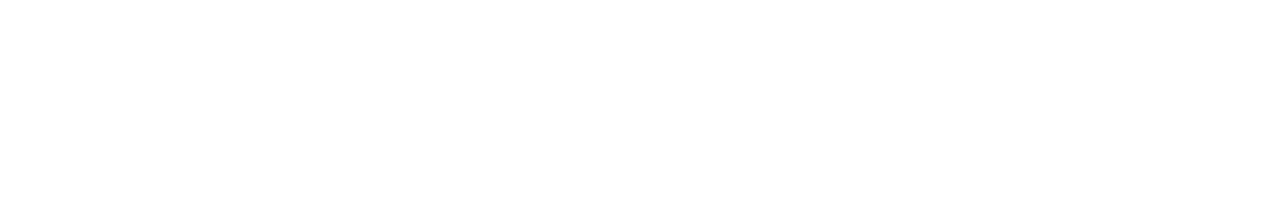 Partner: Ottobock